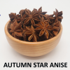 Autumn Anise 2