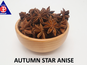 Autumn Anise 2