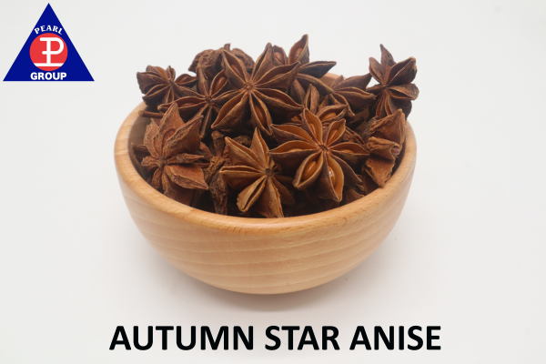 Autumn Anise 2