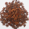 Autumn Anise 4