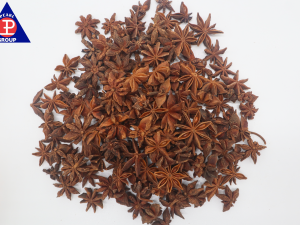 Autumn Anise 4