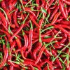 Fresh Bird Eye Chilli