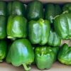 Green Bell Pepper