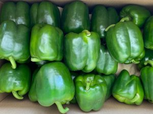 Green Bell Pepper