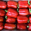 Red Bell Pepper