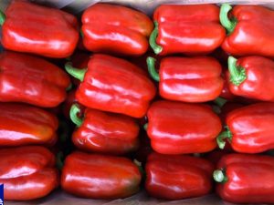 Red Bell Pepper