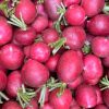 Red Radish