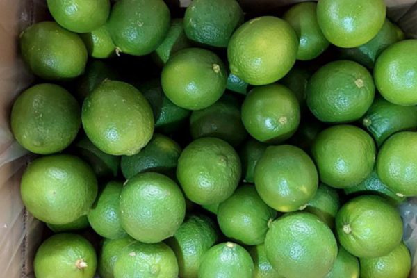 Seedless Lime