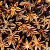 Star Anise Broken