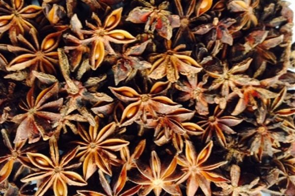 Star Anise Broken