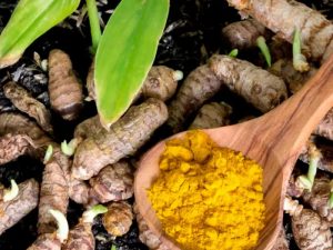 Turmeric Powder 04