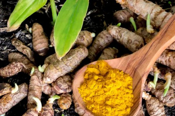 Turmeric Powder 04